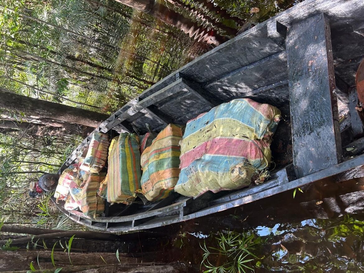 mais-de-uma-tonelada-de-drogas-e-apreendida-em-operacao-no-amazonas