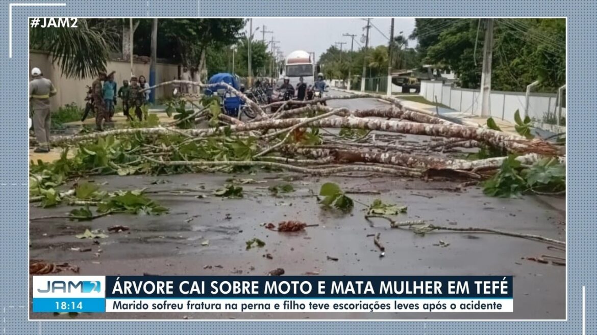 mulher-morre-apos-arvore-cair-sobre-moto-durante-temporal-no-interior-do-am