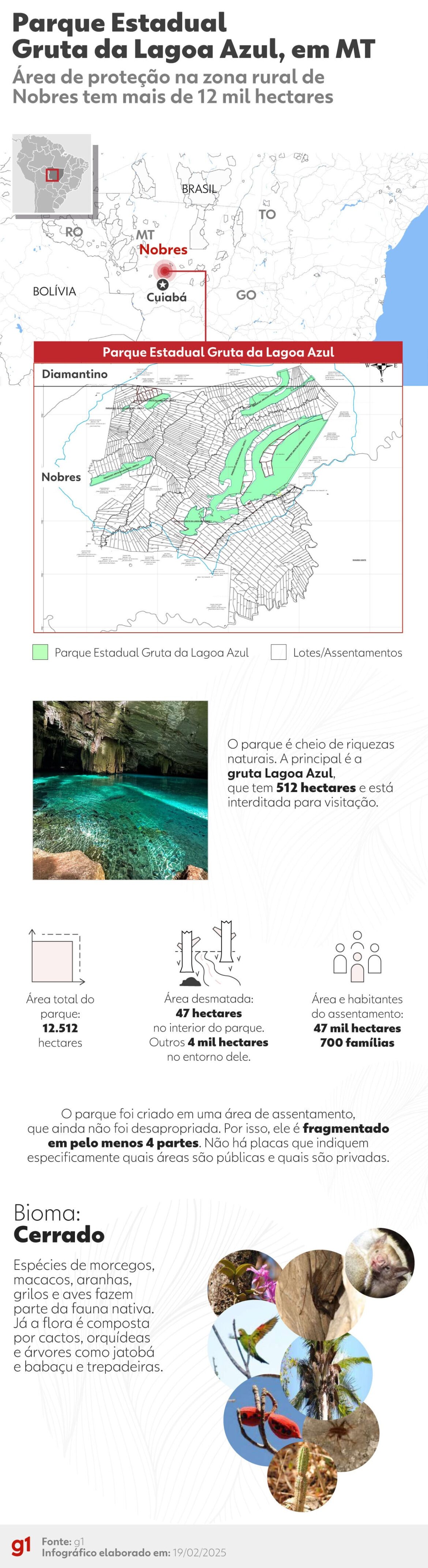 parque-criado-para-proteger-gruta-paradisiaca-e-ameacado-por-desmatamento,-agricultura-e-presenca-de-gado-em-mt