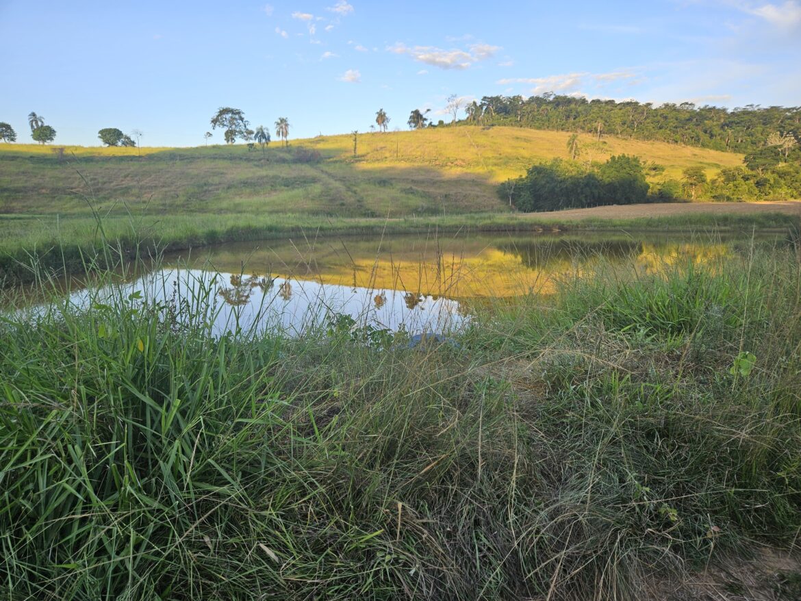 homem-morre-afogado-enquanto-retirava-agua-de-acude-para-alimentar-gado-em-leopoldina