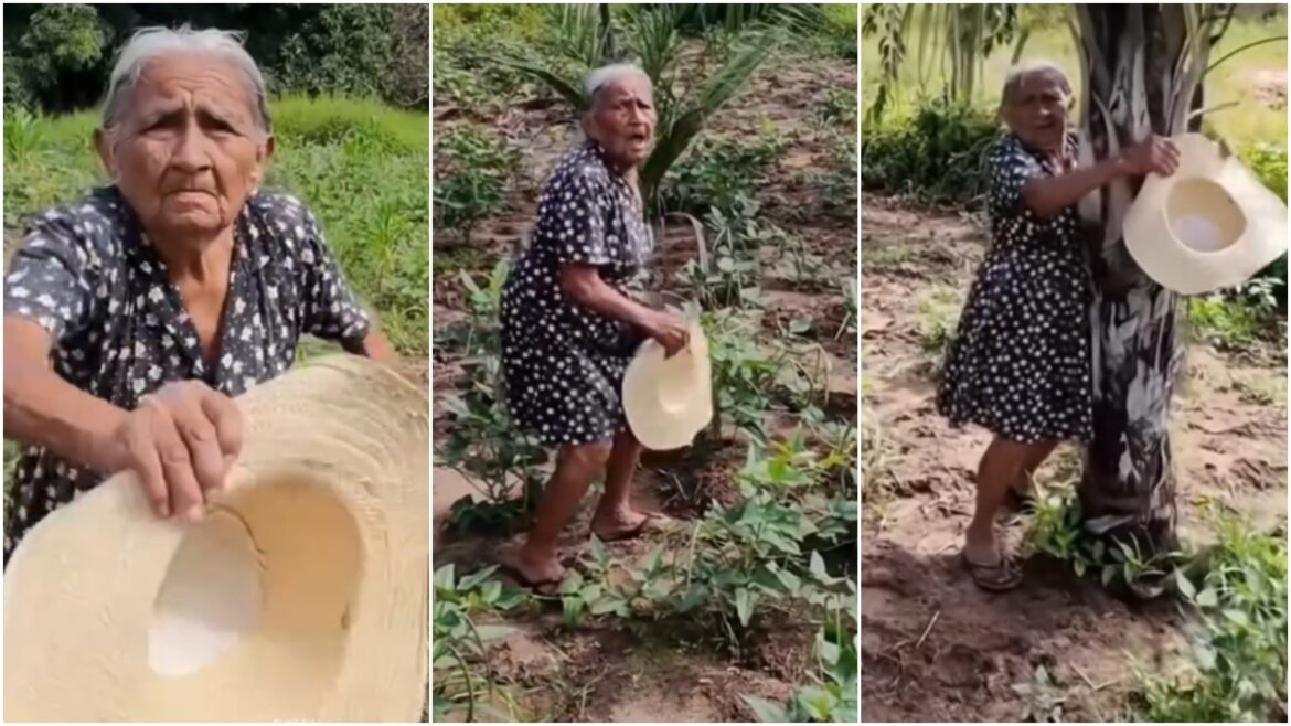 vovo-avista-drone-pela-primeira-vez,-e-reacao-diverte-as-redes-sociais