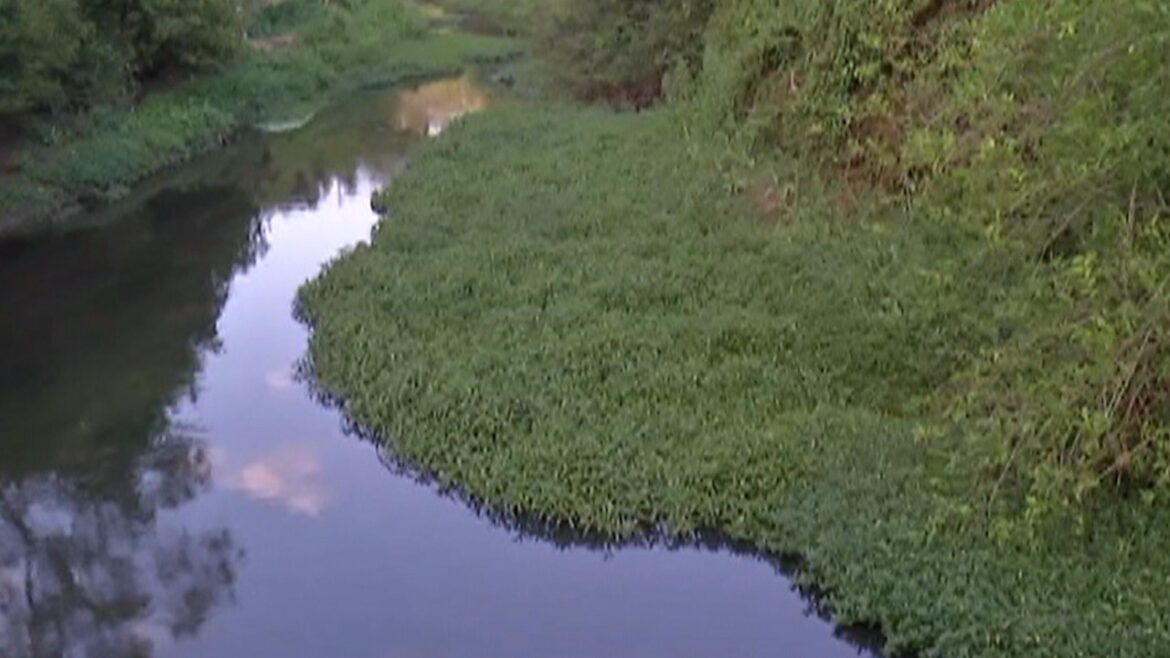 dia-da-agua:-qualidade-da-agua-do-rio-tiete-vai-de-ruim-a-regular-na-regiao