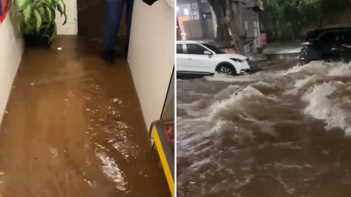 chuva-forte-arrasta-carros,-causa-pontos-de-alagamento-e-queda-de-arvores-em-assis