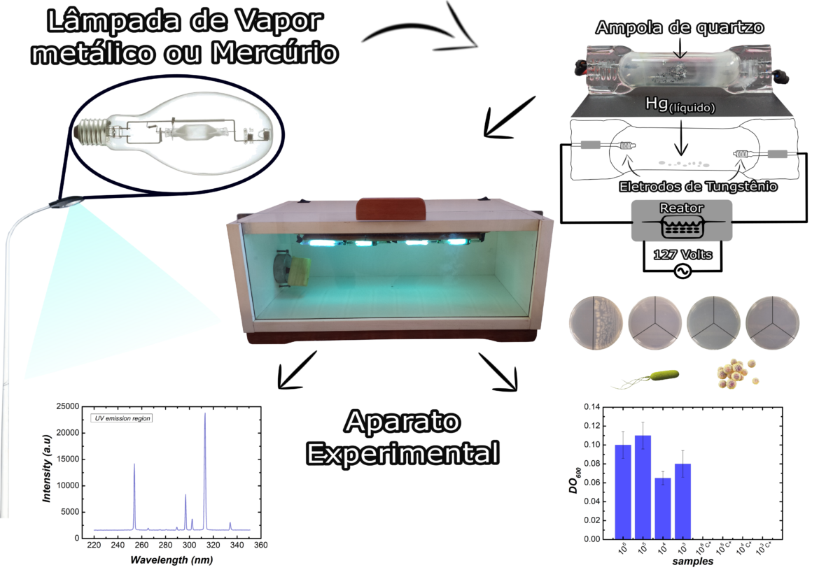 com-inovacoes-para-saude-publica,-seguranca-alimentar-e-meio-ambiente,-pesquisador-da-ufv-vence-premio-jovem-cientista