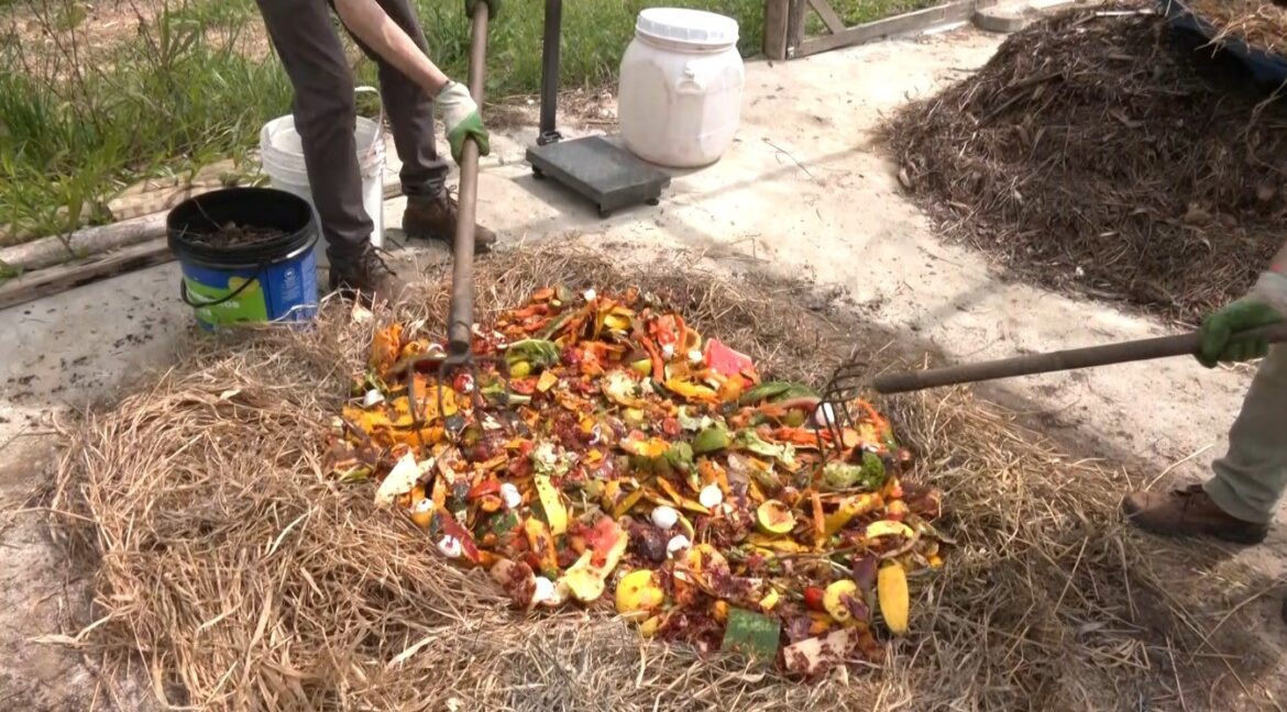 conheca-o-projeto-ambiental-que-ja-deixou-de-emitir-9-toneladas-de-gases-que-pioram-o-efeito-estufa