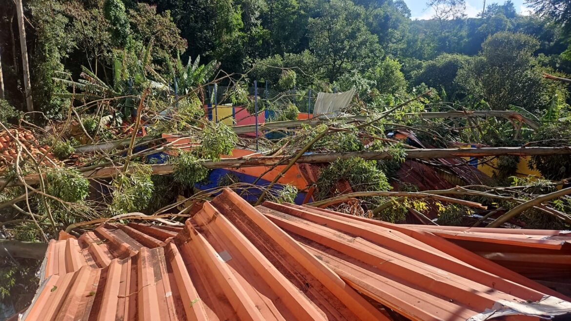 piscina-‘voa’-de-predio,-arvore-cai-em-cima-de-escola-infantil-e-muro-desaba-sobre-carros:-veja-estragos-da-chuva-em-juiz-de-fora-e-regiao