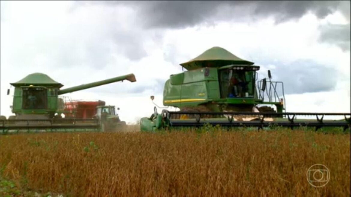 brasil-recebe-cupula-do-ministerio-da-agricultura-da-china-em-meio-a-‘tarifacos’-de-trump-e-supersafra