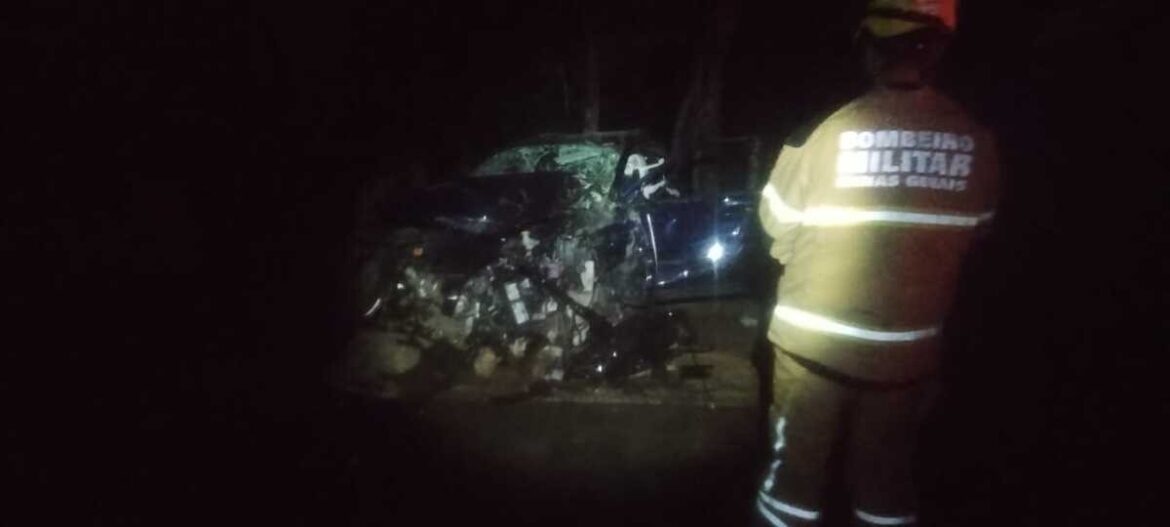 motorista-morre-apos-capotar-carro-e-bater-em-arvore-na-mg-133