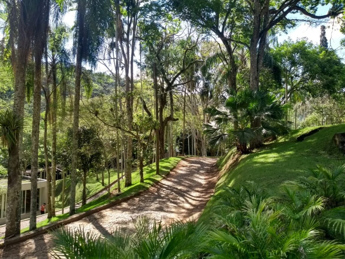 integracao-na-universidade:-mg2-mostra-projeto-do-jardim-botanico-que-promove-educacao-ambiental-em-juiz-de-fora