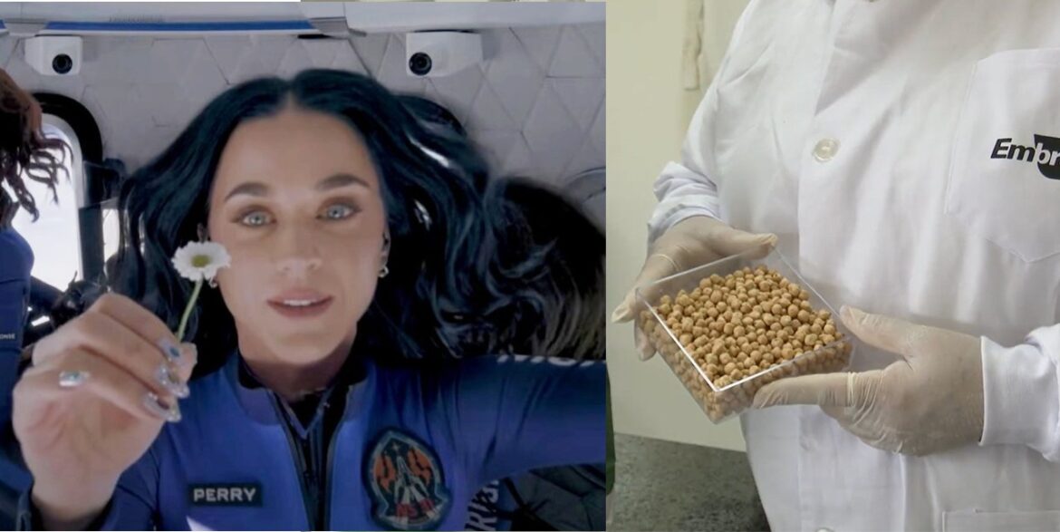 por-que-o-brasil-enviou-batata-doce-e-grao-de-bico-para-o-espaco-com-a-katy-perry?