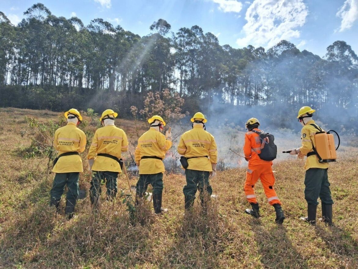 corpo-de-bombeiros-abre-selecao-para-brigadistas-em-ibitipoca-e-outras-unidades-de-conservacao-da-regiao;-veja-como-se-inscrever