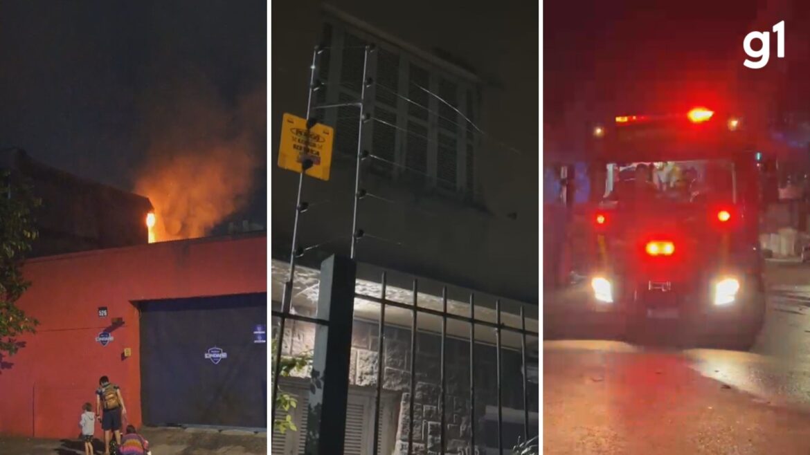 quatro-gatos-e-dois-cachorros-morrem-apos-incendio-em-apartamento-em-porto-alegre;-tutora-esta-hospitalizada