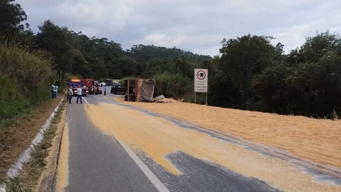 caminhao-tomba-na-br-265-e-carga-de-milho-bloqueia-pista