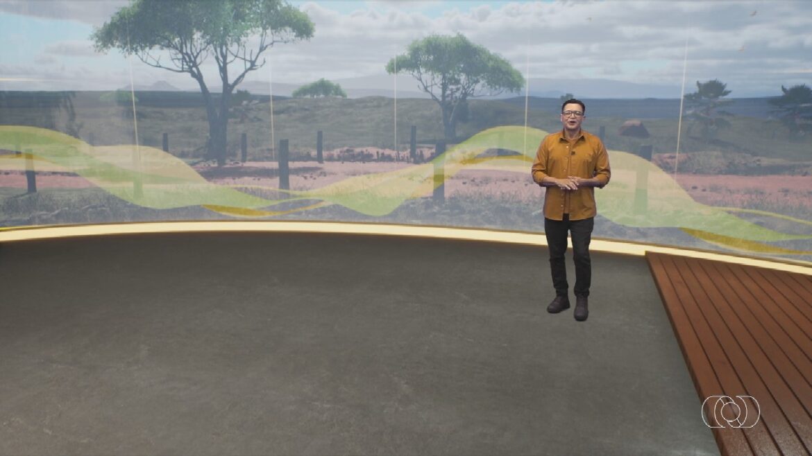 videos:-jornal-do-campo-deste-domingo,-11-de-maio-de-2025