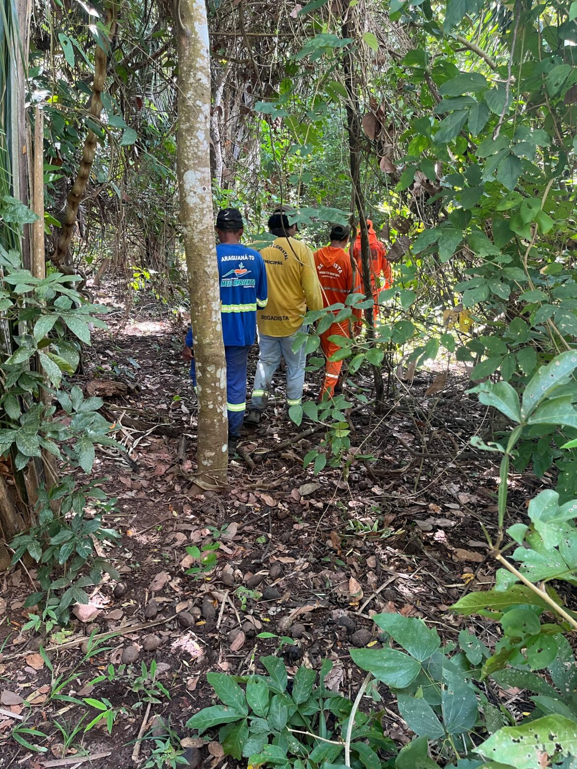bombeiros-buscam-homem-desaparecido-ha-cinco-dias-em-zona-rural