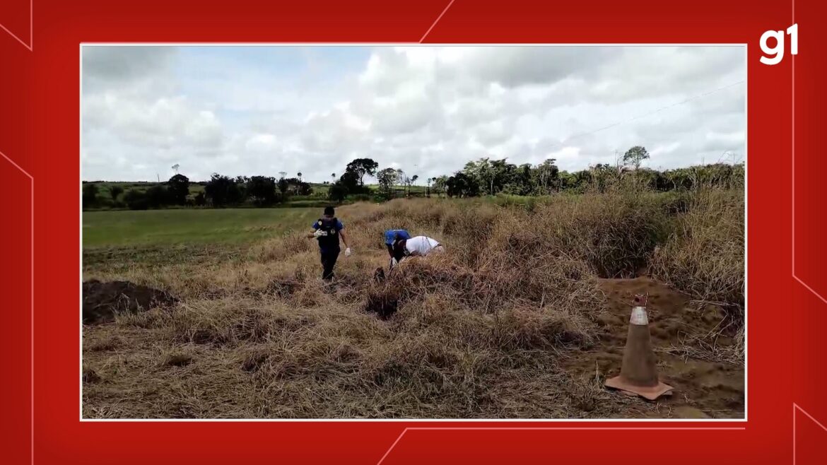 ciclista-encontra-mulher-morta-com-parte-do-corpo-queimado-em-mojui-dos-campos