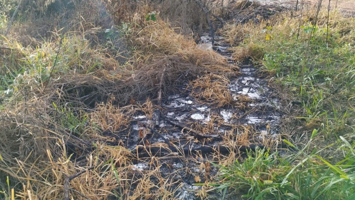 secretaria-do-meio-ambiente-investiga-suposto-descarte-de-oleo-irregular-em-bauru