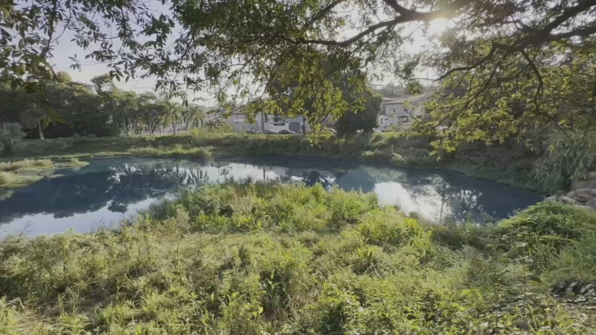 cetesb-finaliza-trabalho-de-limpeza-em-corrego-de-jundiai-atingido-por-corante-azul