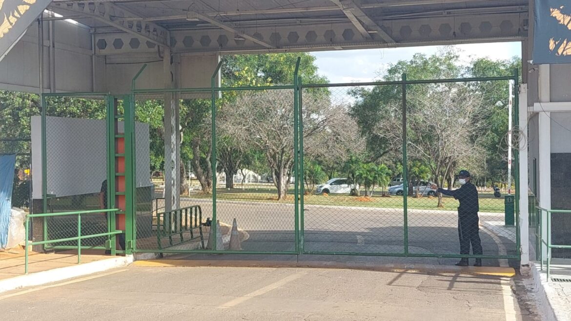 ministerio-da-agricultura-investiga-caso-de-gripe-aviaria-no-df-apos-morte-de-ave-no-zoologico