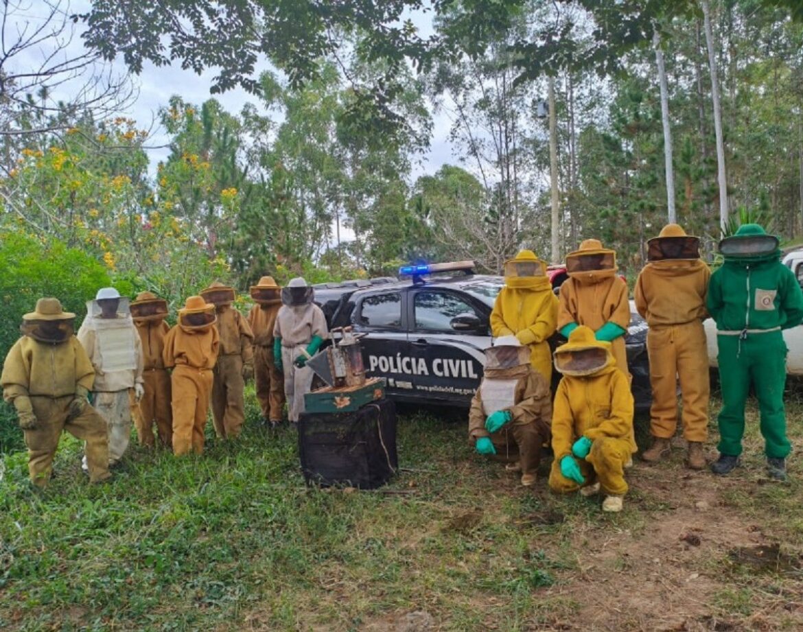 esquema-de-furto-de-colmeias-de-abelhas-e-desarticulado-pela-policia-em-mg