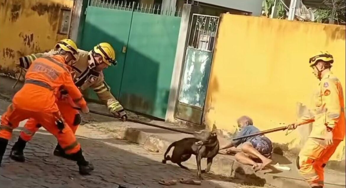 video:-idosa-e-mordida-por-pitbull-e-segura-patas-do-animal-ate-a-chegada-dos-bombeiros