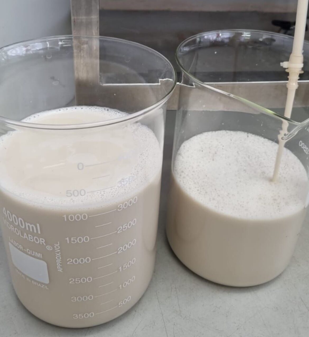 leite-sem-vaca:-empresa-brasileira-insere-dna-bovino-em-microrganismos-para-produzir-a-bebida;-entenda