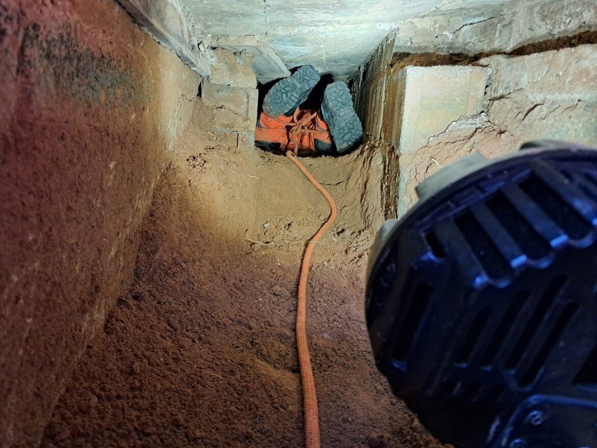 bombeiro-se-arrisca-em-galeria-de-agua-apertada-para-salvar-filhote-de-cao-em-muriae;-video