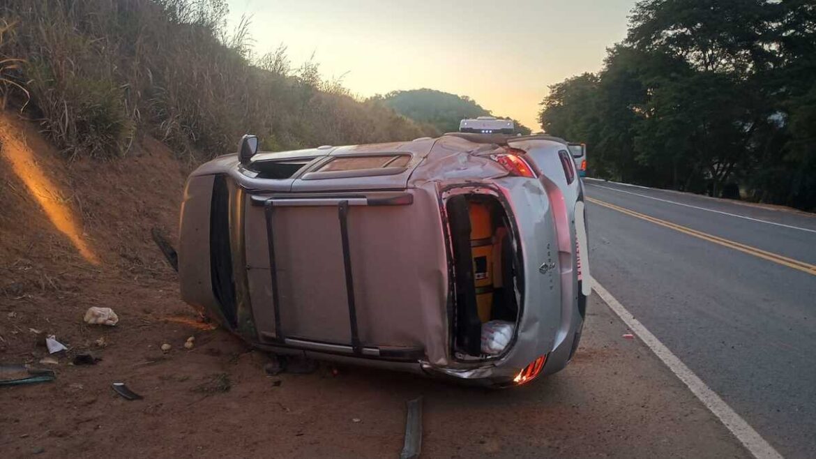 motorista-atropela-cachorro-e-carro-capota-na-br-116;-animal-morreu