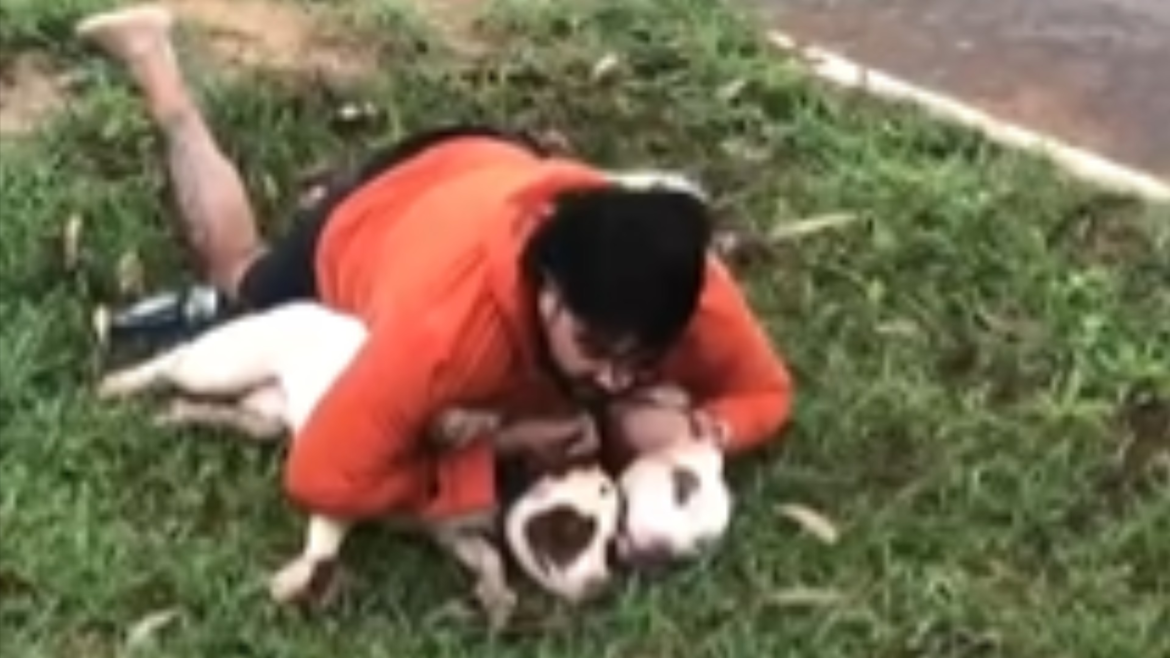 video:-lutador-de-muay-thai-e-atacado,-derrubado-e-imobiliza-dois-pitbulls-em-ms