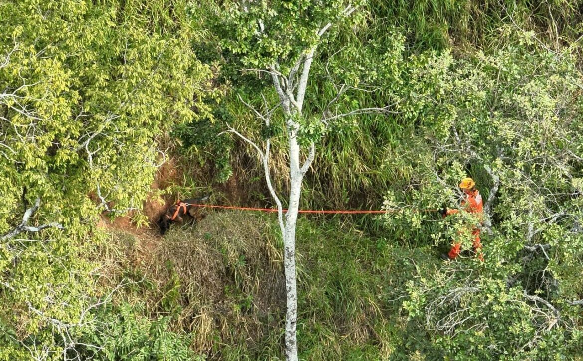 ‘guardiao-das-nascentes’,-conhecido-por-defender-meio-ambiente,-e-encontrado-morto-no-interior-de-mg