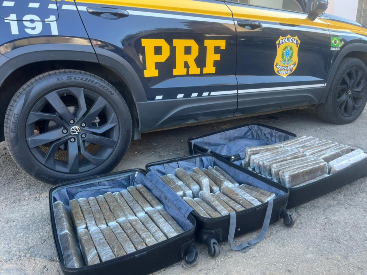 prf-apreende-malas-com-50-kg-de-maconha-em-onibus-na-br-116,-em-manhuacu