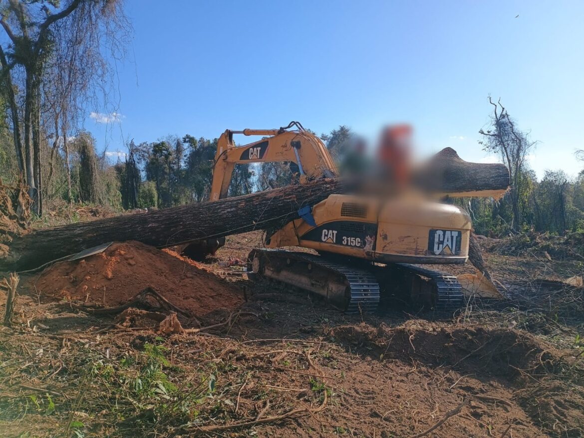 jequitiba-de-20-metros-cai-em-cima-de-trator-e-mata-homem-no-interior-de-mg