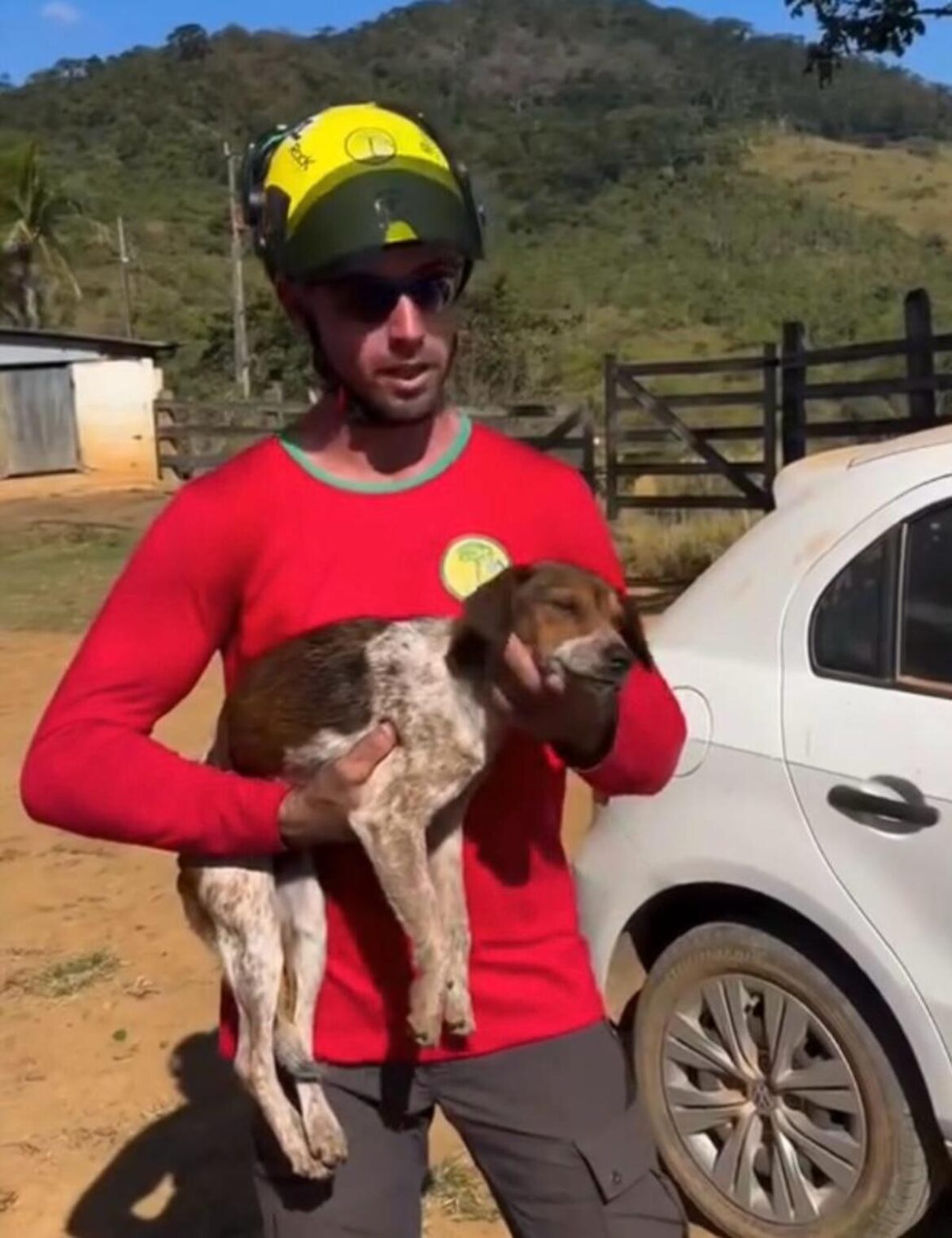 cadela-e-resgatada-de-pedreira-de-50-metros-apos-tres-dias-de-buscas-com-ajuda-de-drones-e-rapel-em-mg