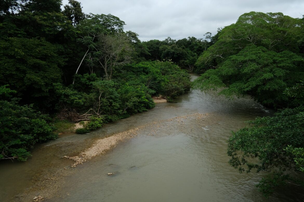 mulher-desaparece-em-rio-apos-salvar-crianca-de-afogamento-em-cuiaba mulher-desaparece-em-rio-apos-salvar-crianca-de-afogamento-em-cuiaba