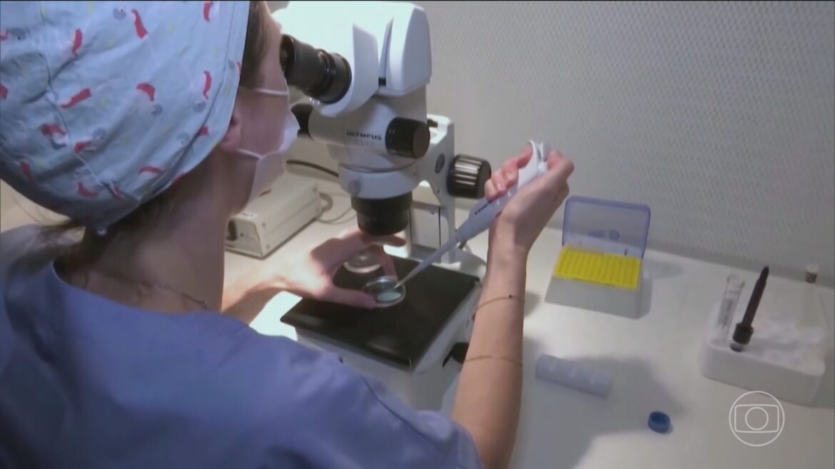 tecnica-de-fertilizacao-que-envolve-dna-de-3-pessoas-gera-bebes-livres-de-doencas-hereditarias-sem-cura tecnica-de-fertilizacao-que-envolve-dna-de-3-pessoas-gera-bebes-livres-de-doencas-hereditarias-sem-cura