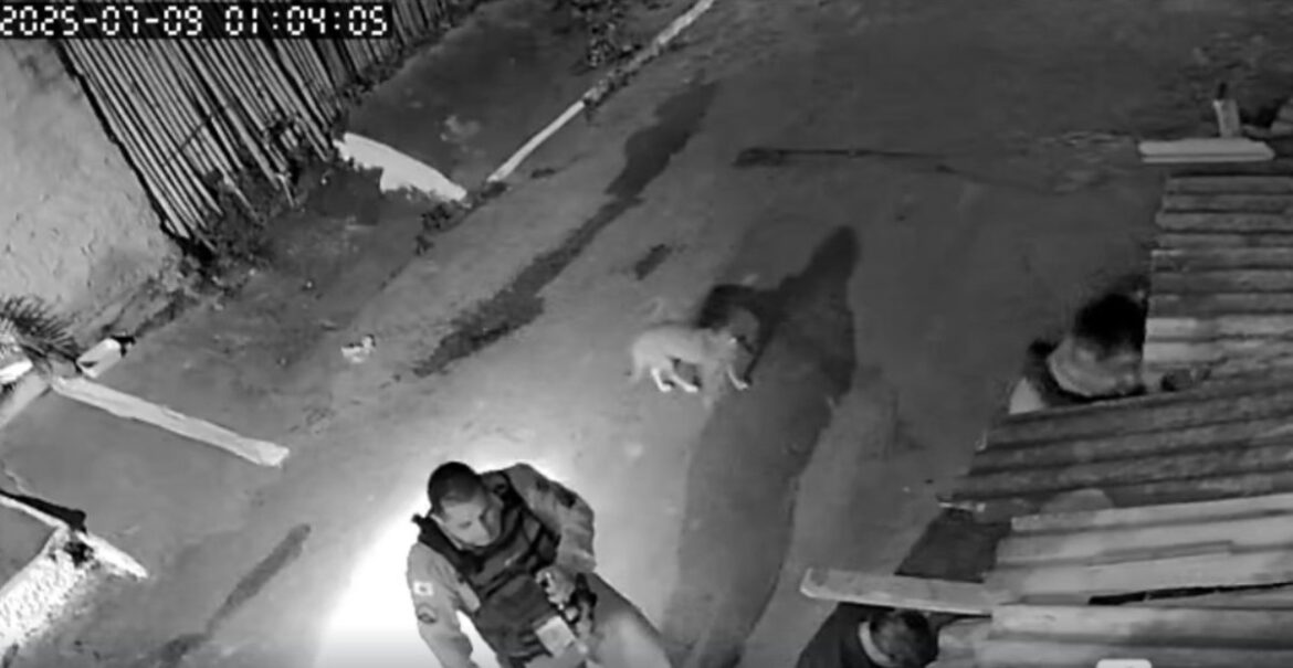 policiais-sao-investigados-por-suspeita-de-dar-surra-em-mulher-durante-abordagem;-audio-revela-palavroes-e-ofensas policiais-sao-investigados-por-suspeita-de-dar-surra-em-mulher-durante-abordagem;-audio-revela-palavroes-e-ofensas