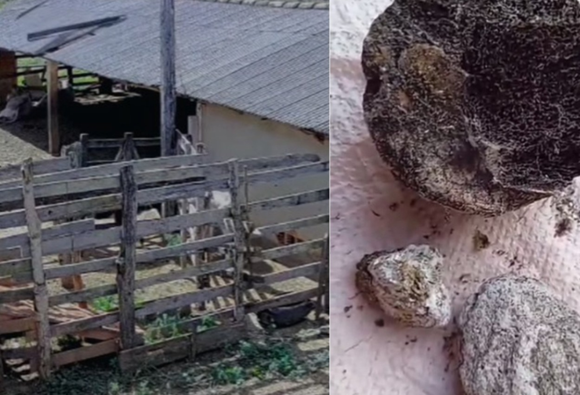 video:-queda-de-possivel-meteorito-e-registrado-em-curral-no-interior-de-mg