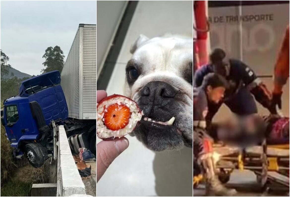 voce-viu?-carreta-com-toneladas-de-encomendas-fica-pendurada-em-ponte,-morango-do-‘aumor’-e-pedestre-atropelado-por-onibus-em-juiz-de-fora