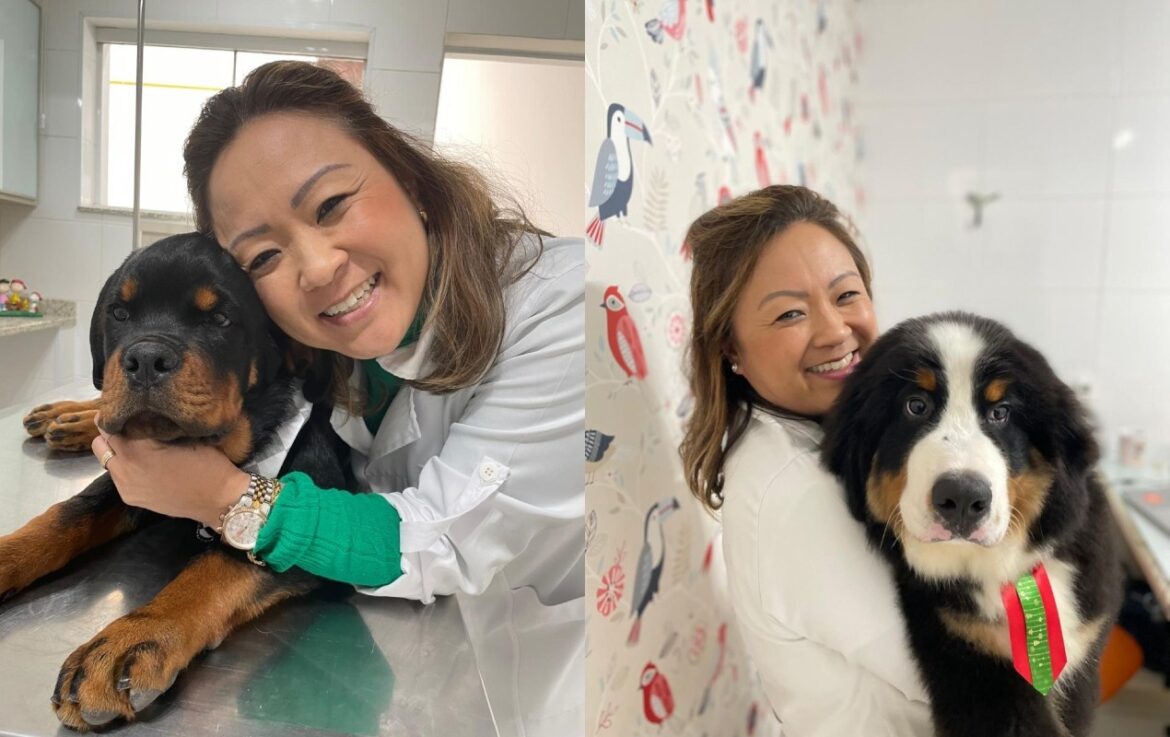 ataque-de-cao:-veterinaria-explica-como-agir-e-o-que-fazer-para-se-proteger