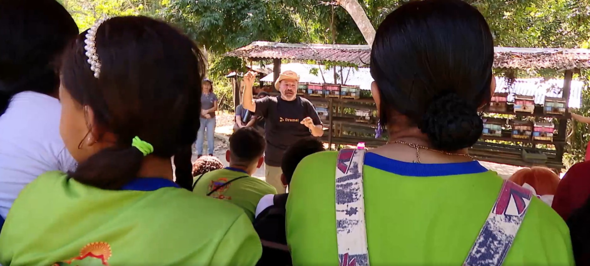 alunos-aprendem-sobre-producao-de-mel-e-preservacao-ambiental-em-sala-de-aula-ao-ar-livre-no-am