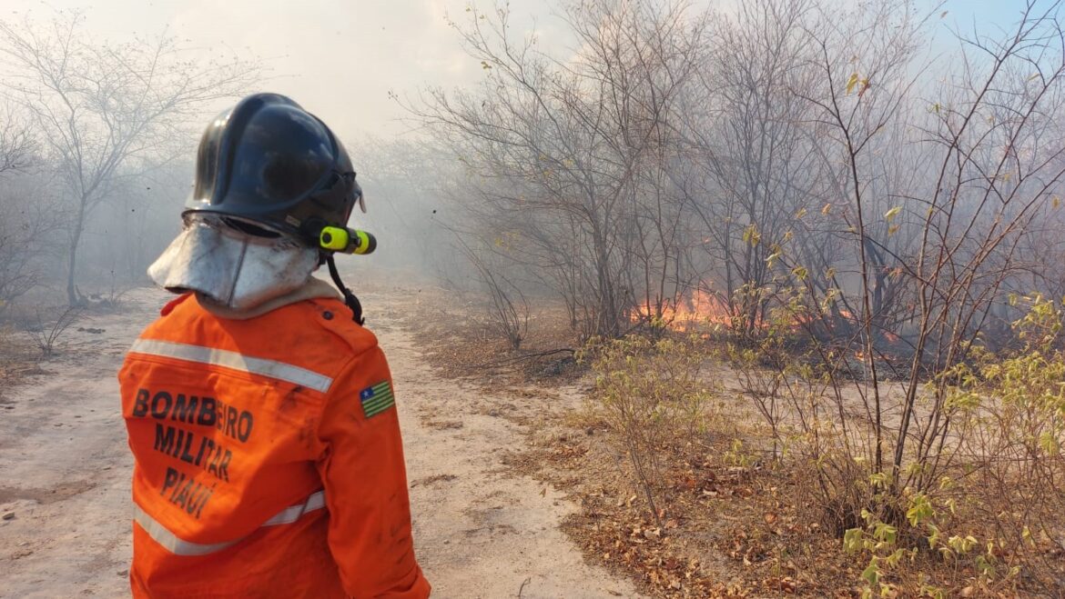 concurso-corpo-de-bombeiros-do-piaui-com-56-vagas-tem-comissao-organizadora-definida