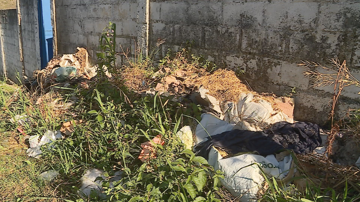 tumulos-depredados,-caixoes-expostos-e-larvas:-familias-denunciam-mas-condicoes-de-cemiterio-em-santos-dumont;-video