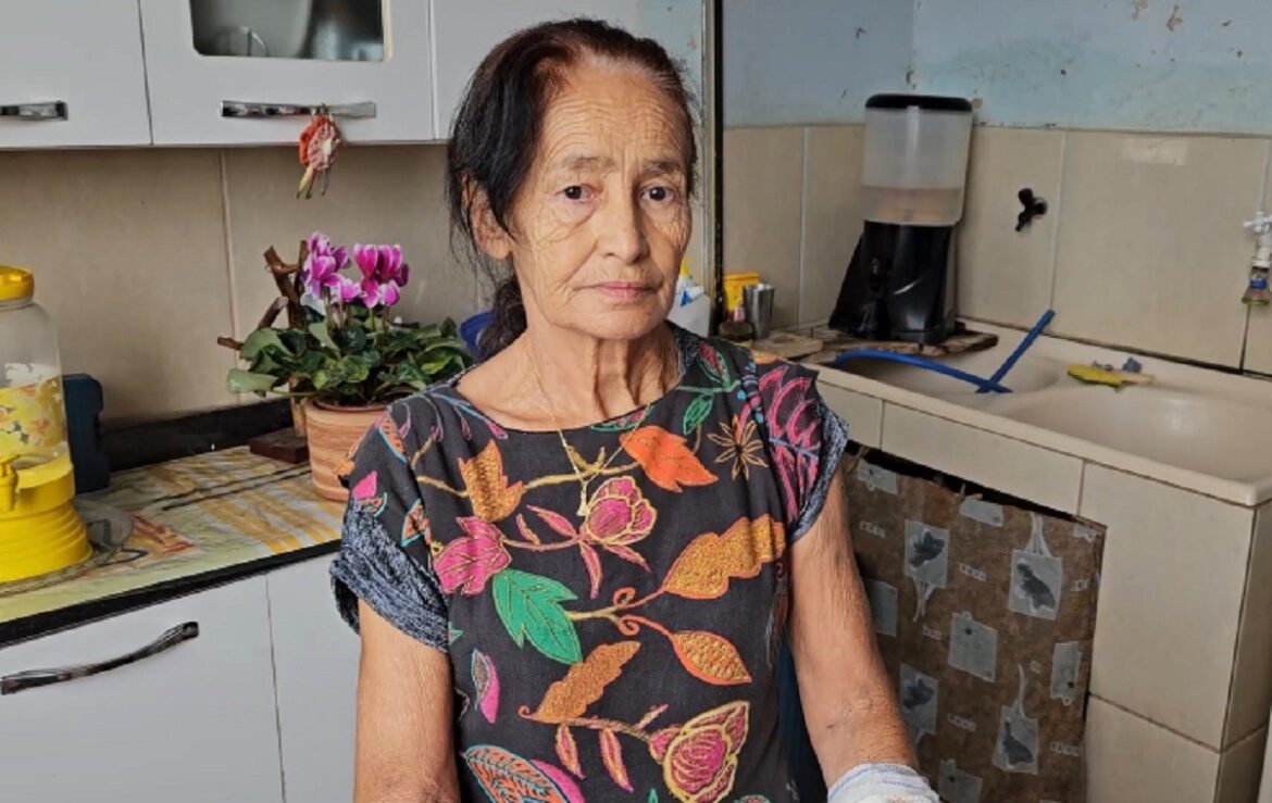 idosa-e-atacada-por-dois-pitbulls-em-mg:-‘quando-vi-estava-tudo-rasgado’