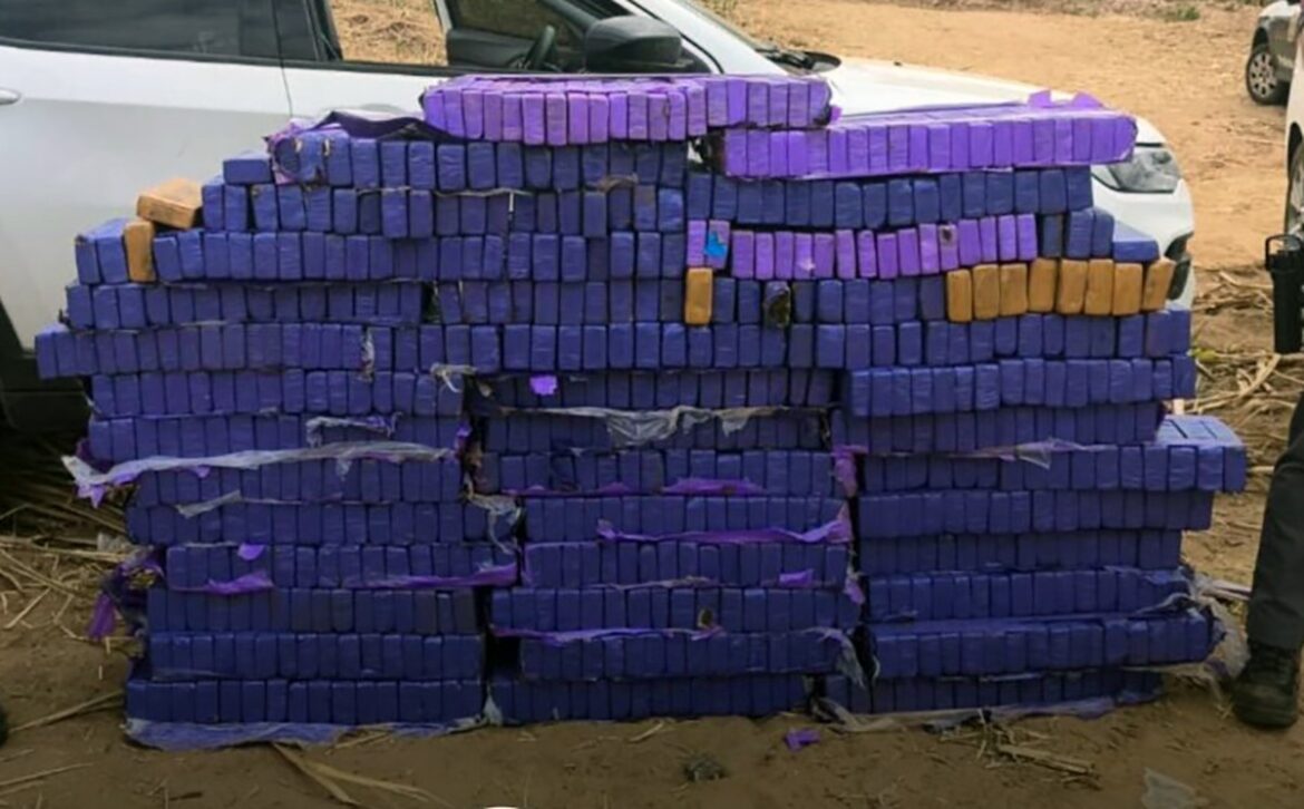 pm-apreende-596-quilos-de-maconha-dentro-de-carro-roubado-em-ipeuna,-no-interior-de-sp pm-apreende-596-quilos-de-maconha-dentro-de-carro-roubado-em-ipeuna,-no-interior-de-sp