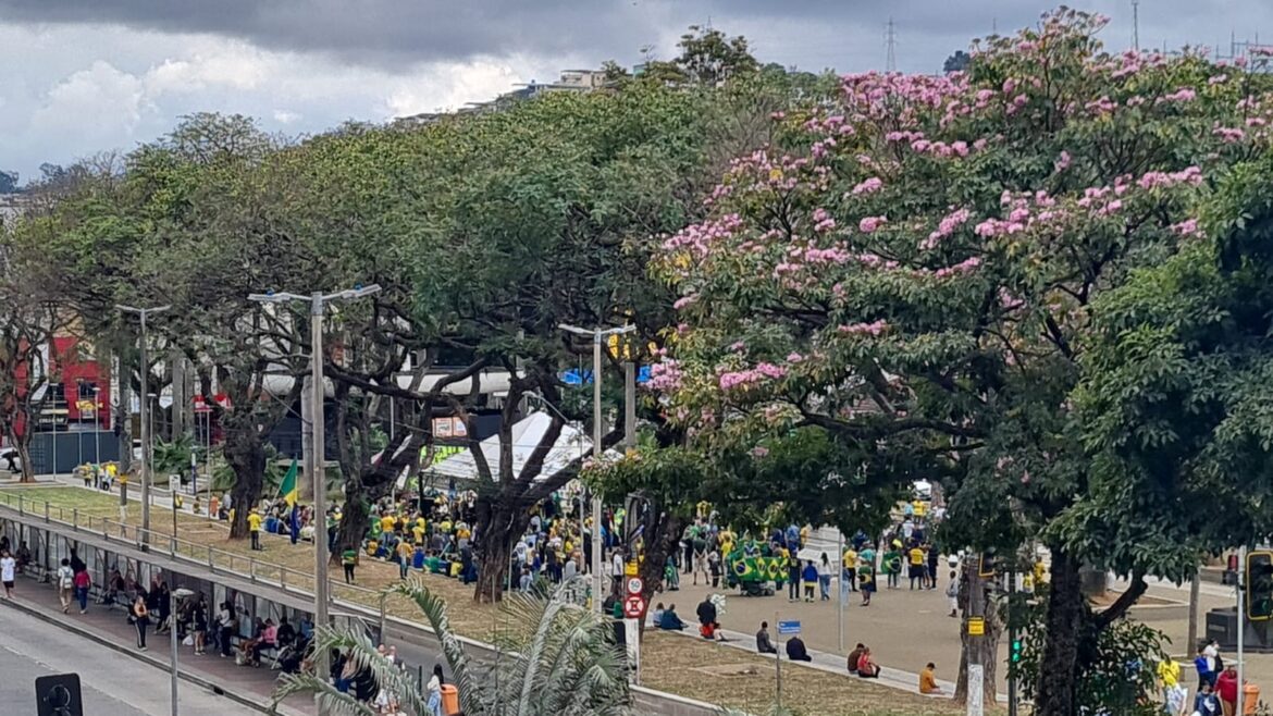 apoiadores-de-bolsonaro-protestam-em-juiz-de-fora-e-pedem-anistia-para-condenados-pelos-atos-de-8-de-janeiro apoiadores-de-bolsonaro-protestam-em-juiz-de-fora-e-pedem-anistia-para-condenados-pelos-atos-de-8-de-janeiro