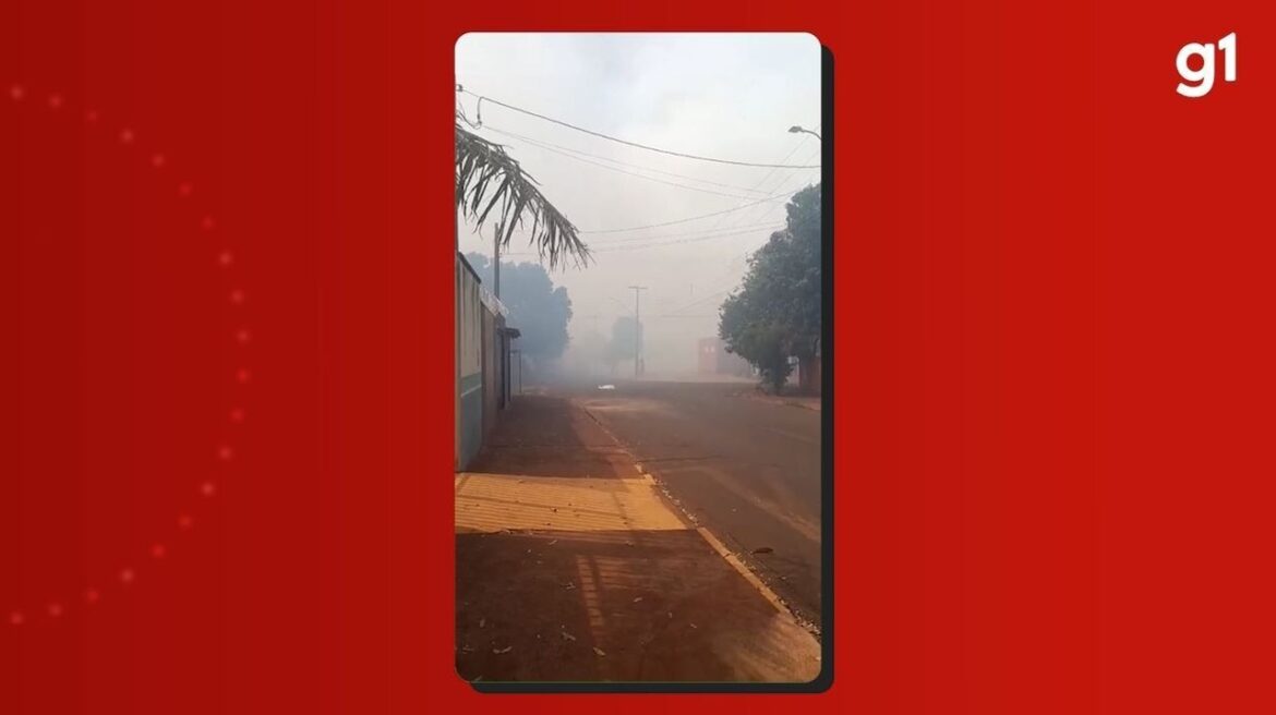fumaca-de-queimadas-toma-conta-de-ipua,-sp,-e-leva-a-suspensao-das-aulas fumaca-de-queimadas-toma-conta-de-ipua,-sp,-e-leva-a-suspensao-das-aulas