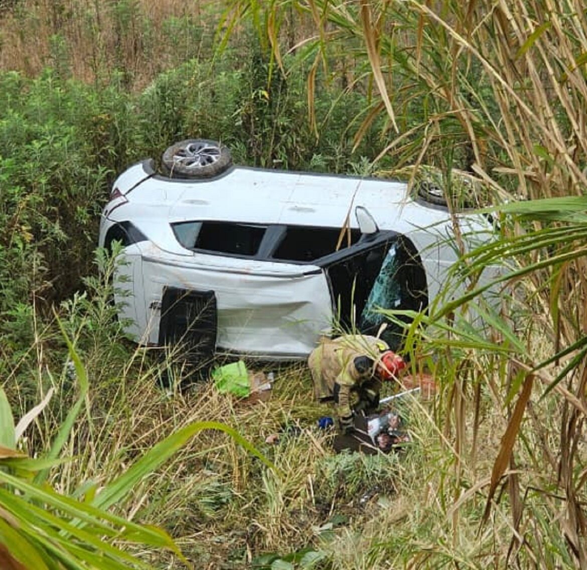 carro-despenca-em-ribanceira-na-br-040,-em-juiz-de-fora;-cinco-pessoas-foram-resgatadas