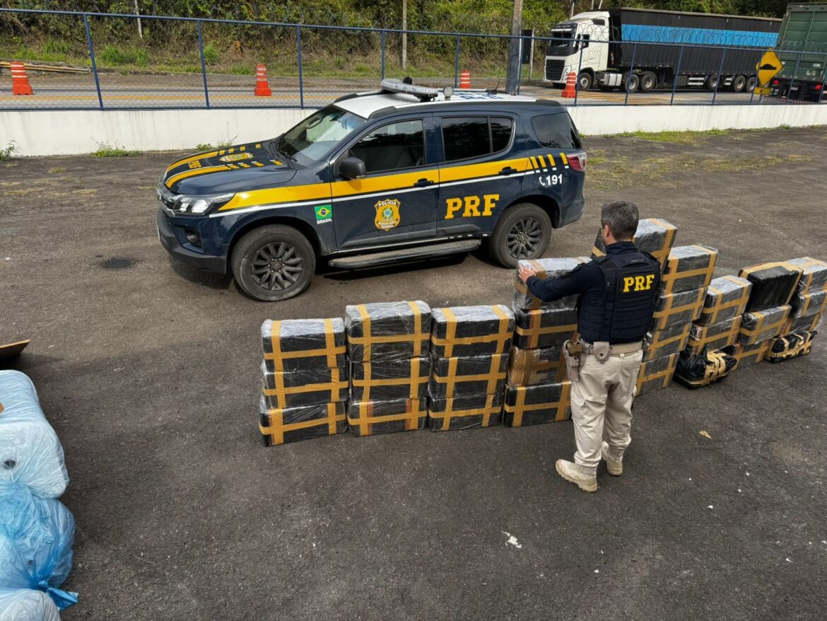caminhoneiro-e-preso-transportando-800-kg-de-maconha-na-br-267,-em-juiz-de-fora