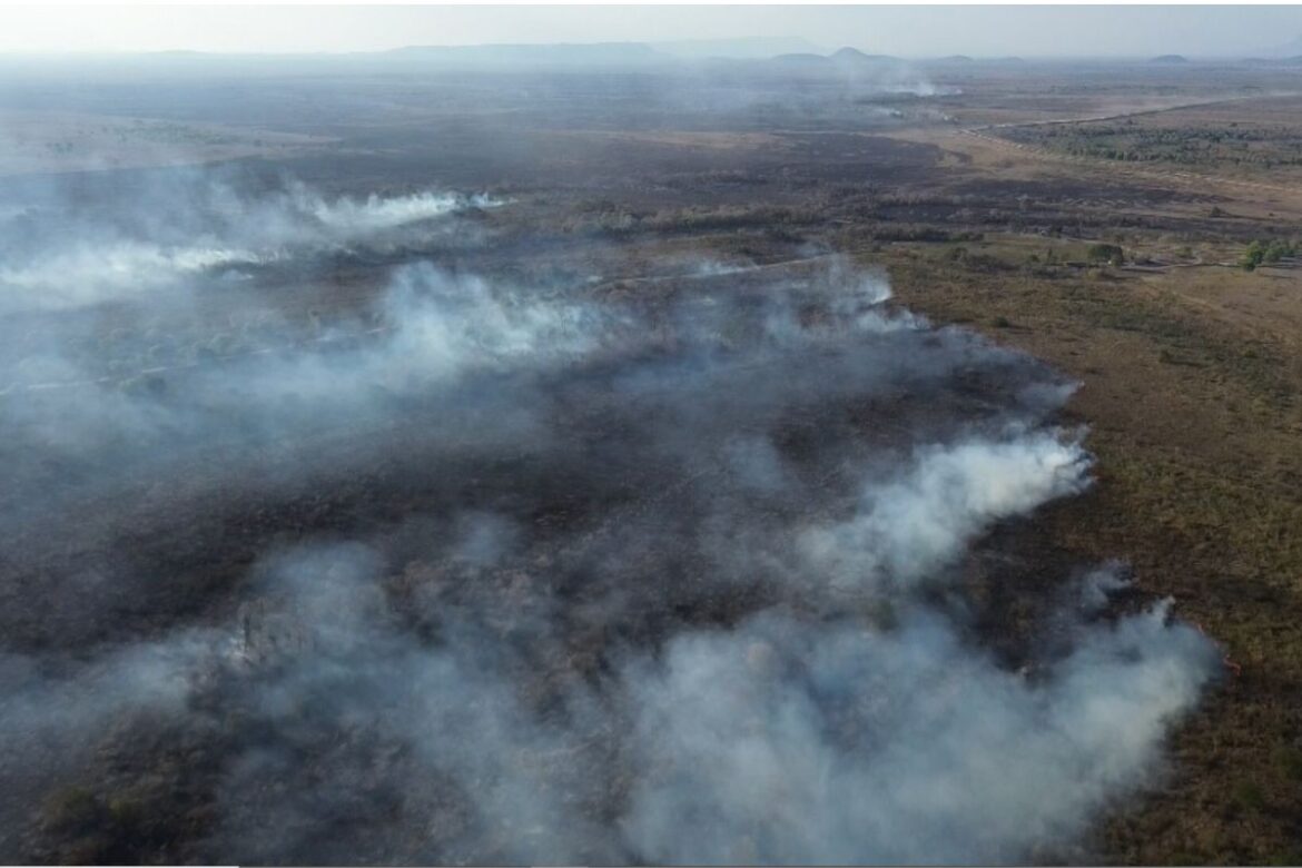 incendio-na-regiao-do-forte-coimbra-mobiliza-bombeiros-no-pantanal