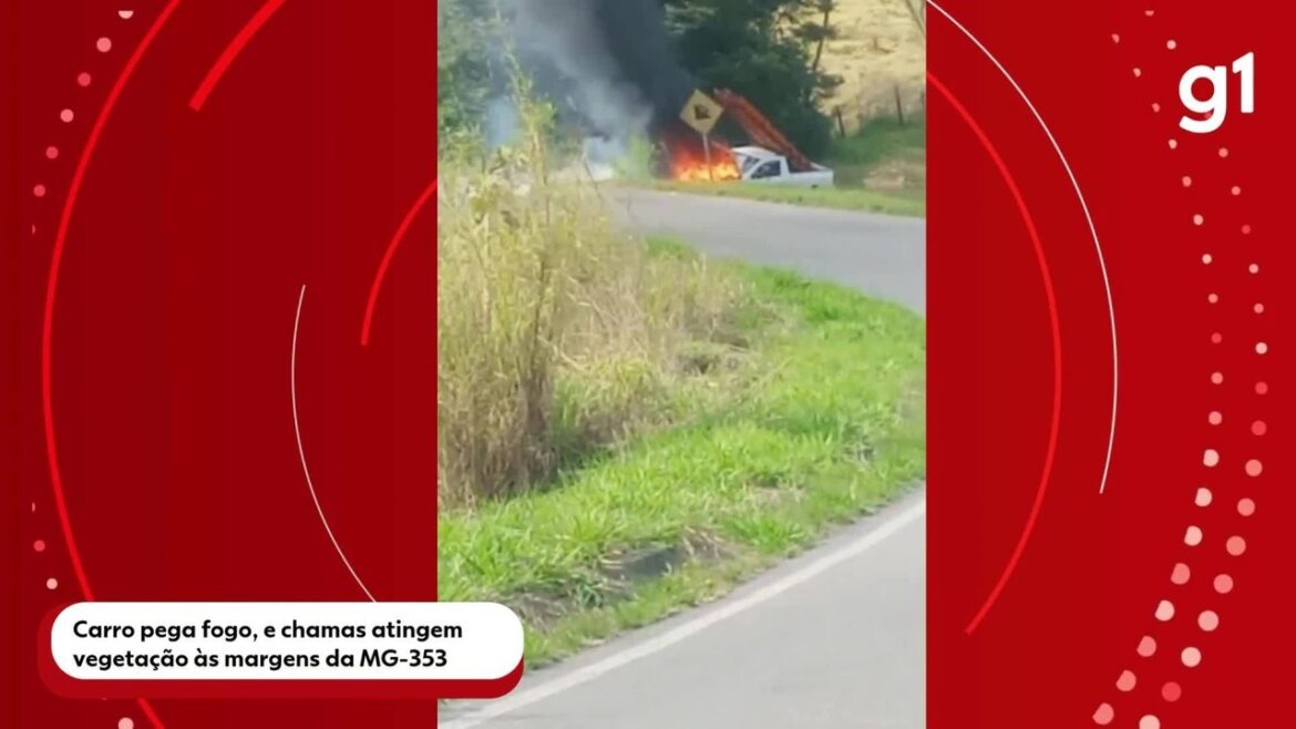 carro-pega-fogo,-e-chamas-atingem-vegetacao-as-margens-da-mg-353